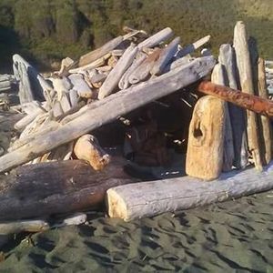 Meet your Posher, Alisha